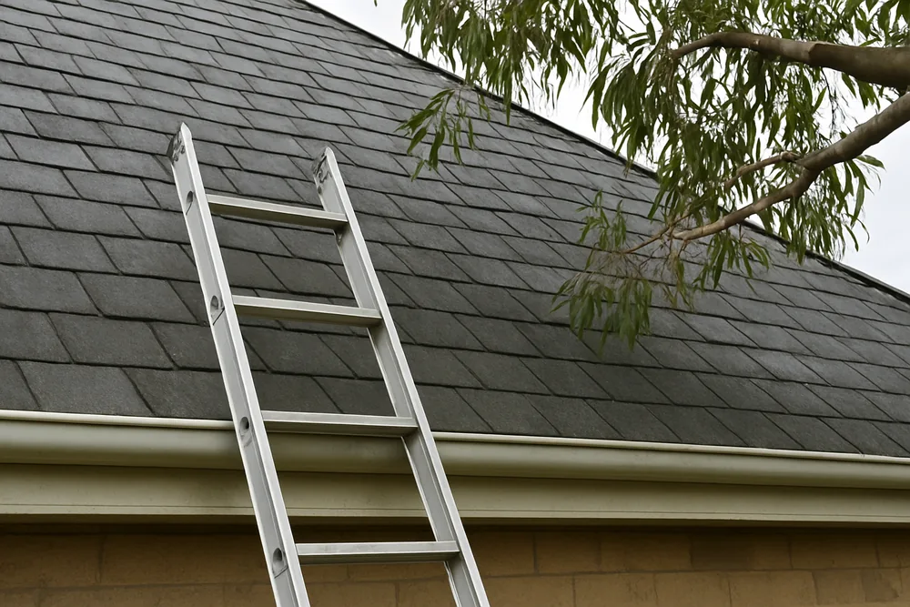 A ladder against a gutter below a steep slate slope with a gum branch overhead — slate roof repairs, Adelaide. Illustrative example.